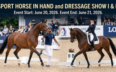 Sport Horse in Hand and Dressage Show I & II