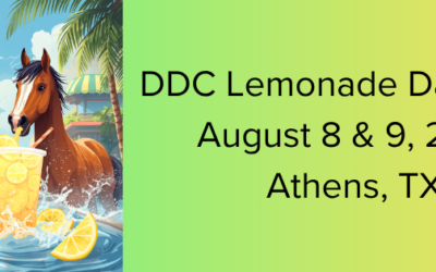 DDC LEMONADE DAZE I AND II